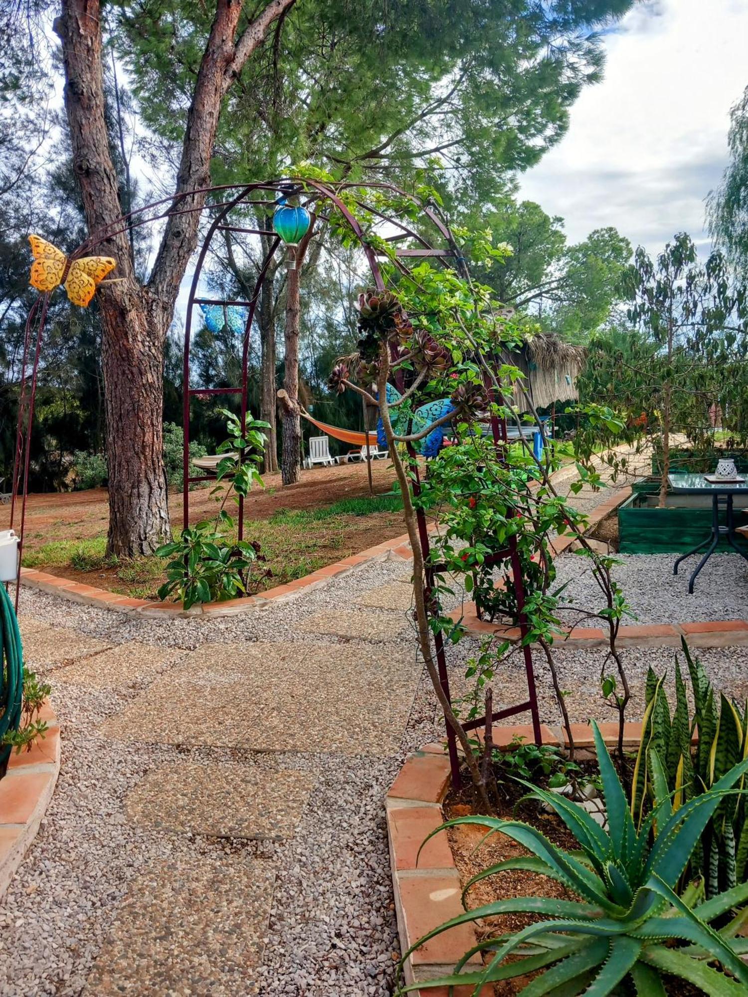 Апартаменты Boheme Valdareina, Piscine Chauffee, Benagil-Carvoeiro Карвоейру Экстерьер фото